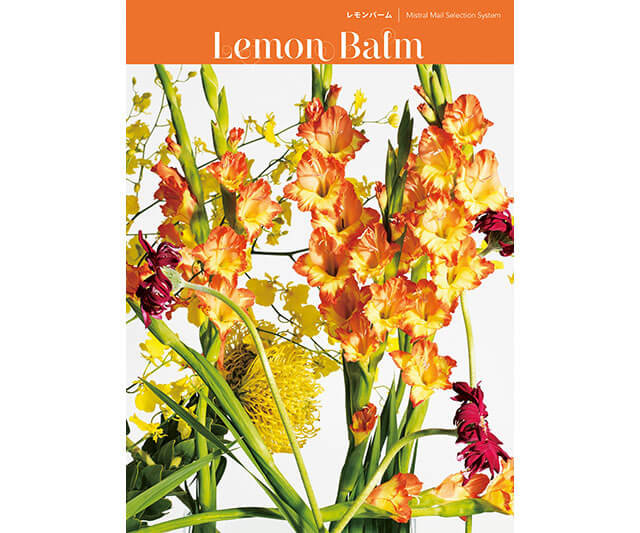 【Mistral】選べるギフト Mistral(ミストラル) <Lemon Balm(レモンバーム)>